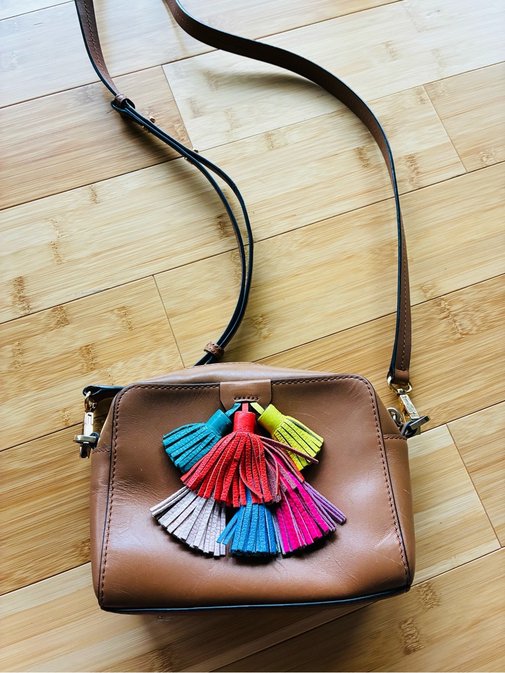 Rebecca Minkoff Women’s Tan Crossbody Bag with Multicolor Tassel Accent